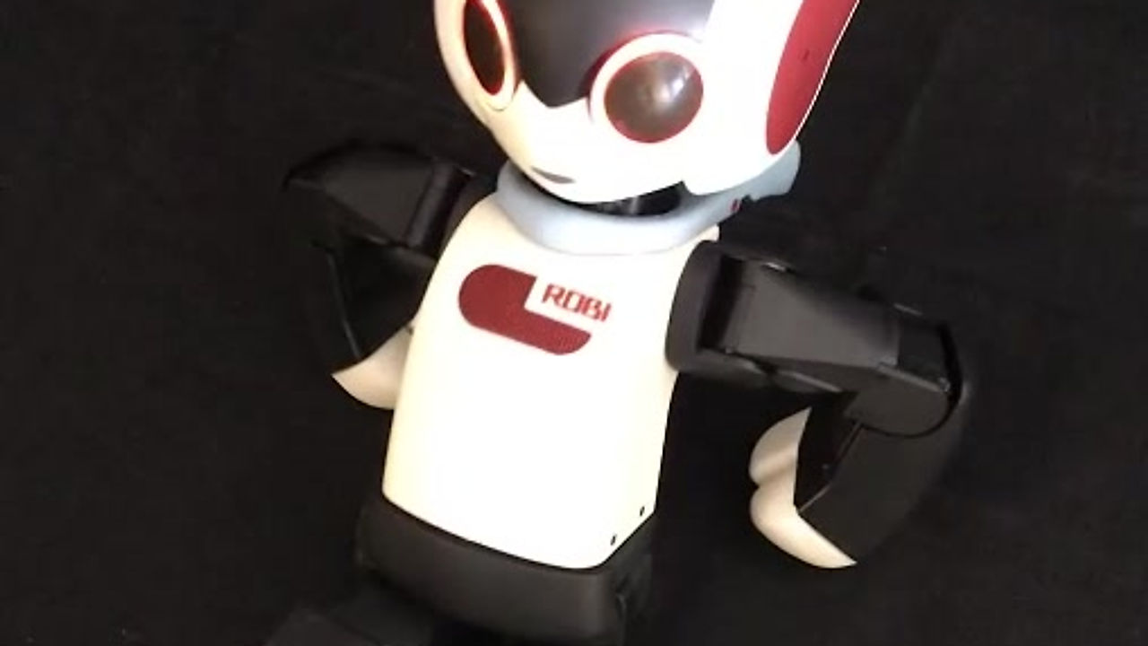 Robi The Robot - Initial Testing